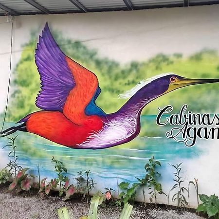 Cabinas Agamy Tortuguero Kültér fotó