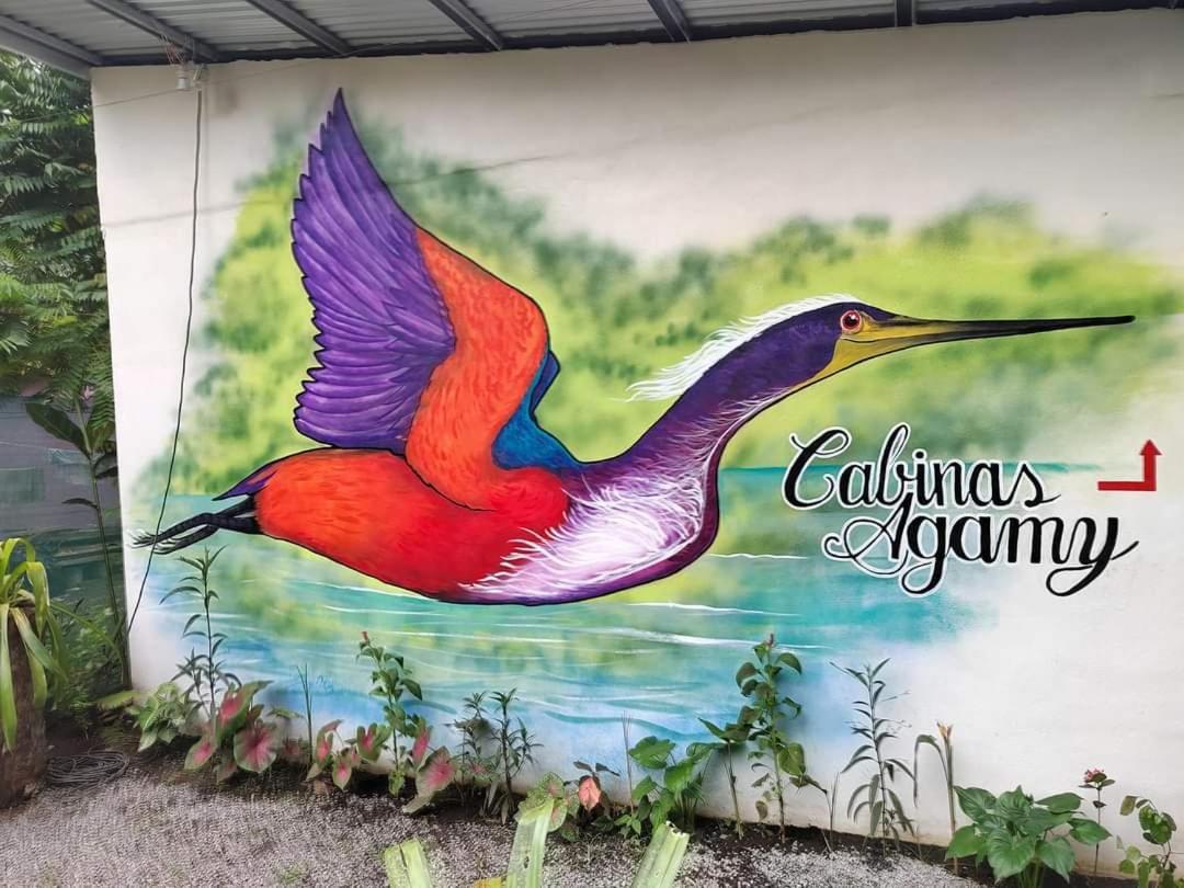 Cabinas Agamy Tortuguero Kültér fotó