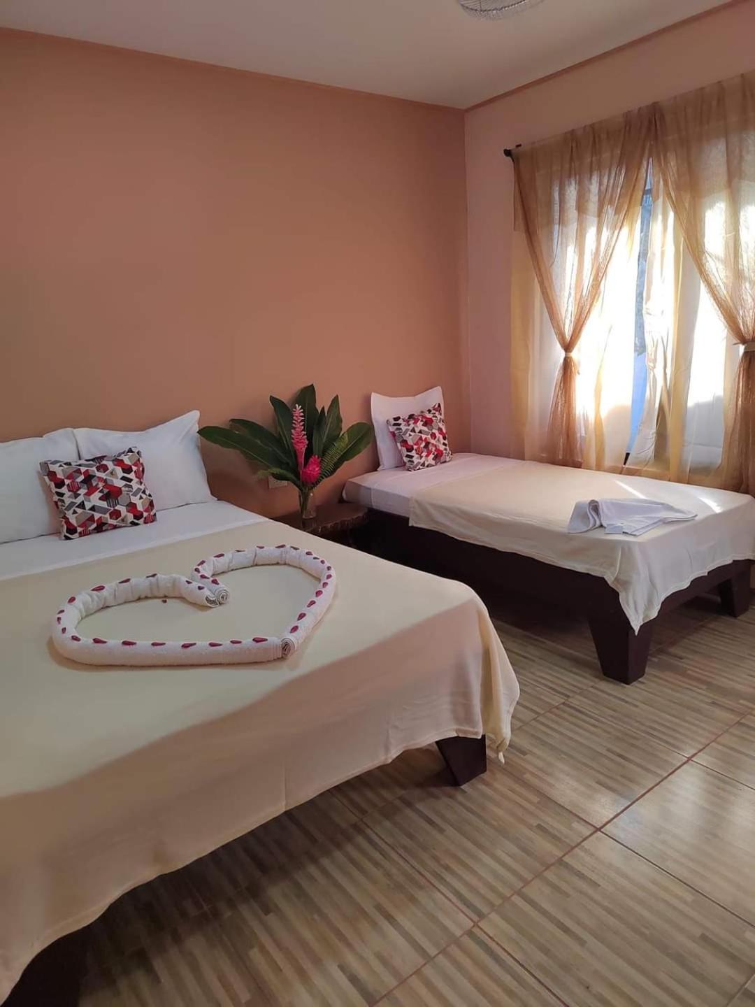 Cabinas Agamy Tortuguero Kültér fotó