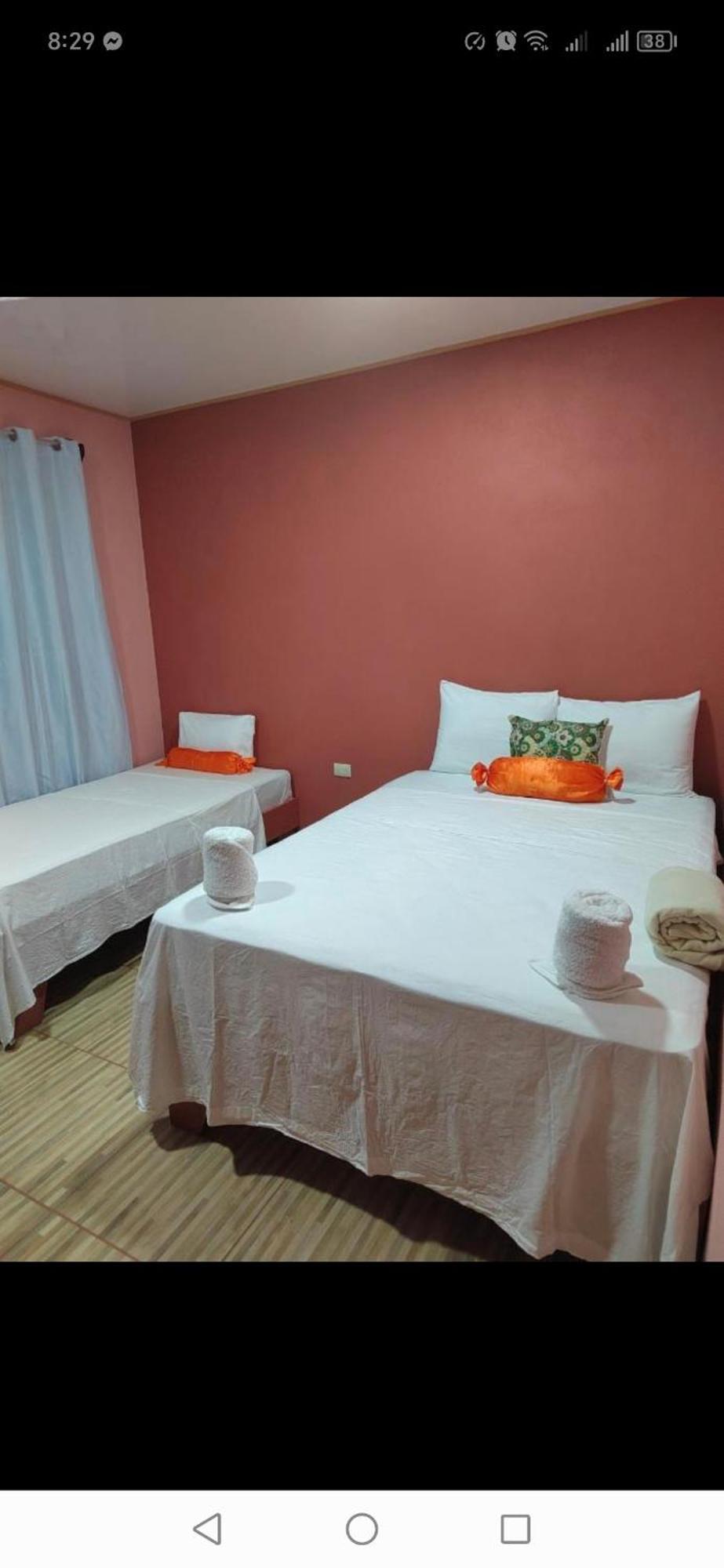 Cabinas Agamy Tortuguero Kültér fotó